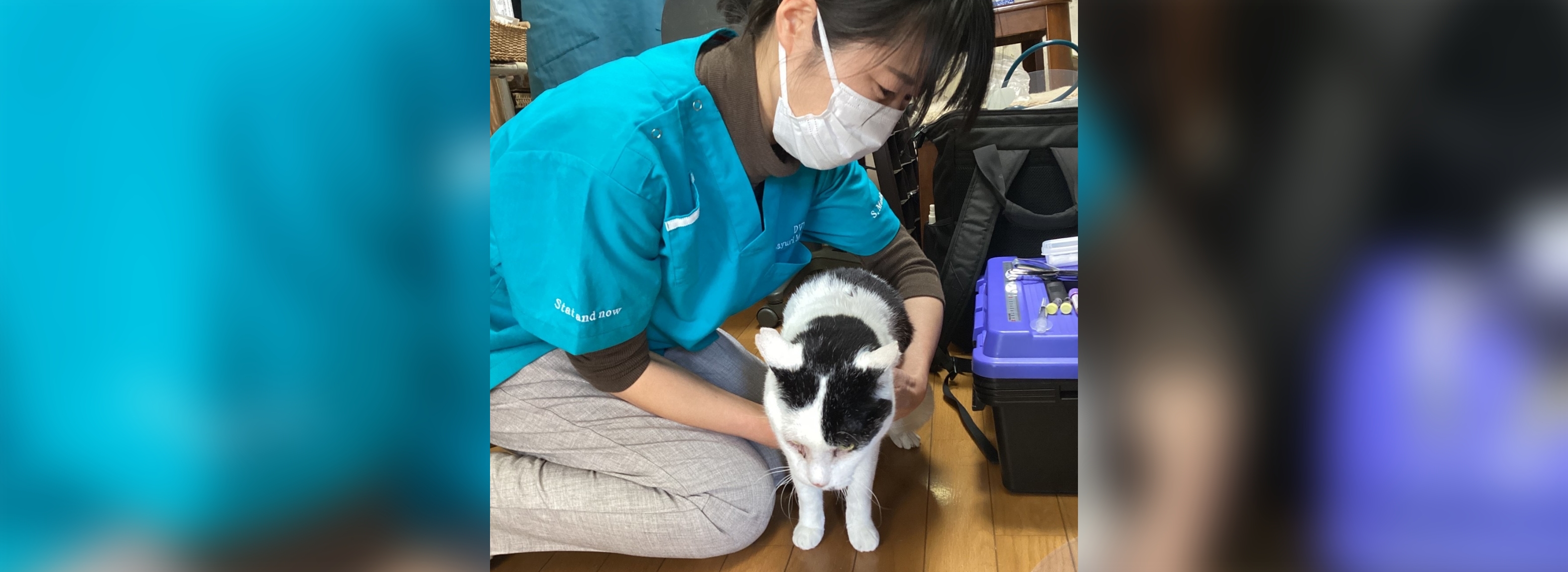 あおば動物クリニック