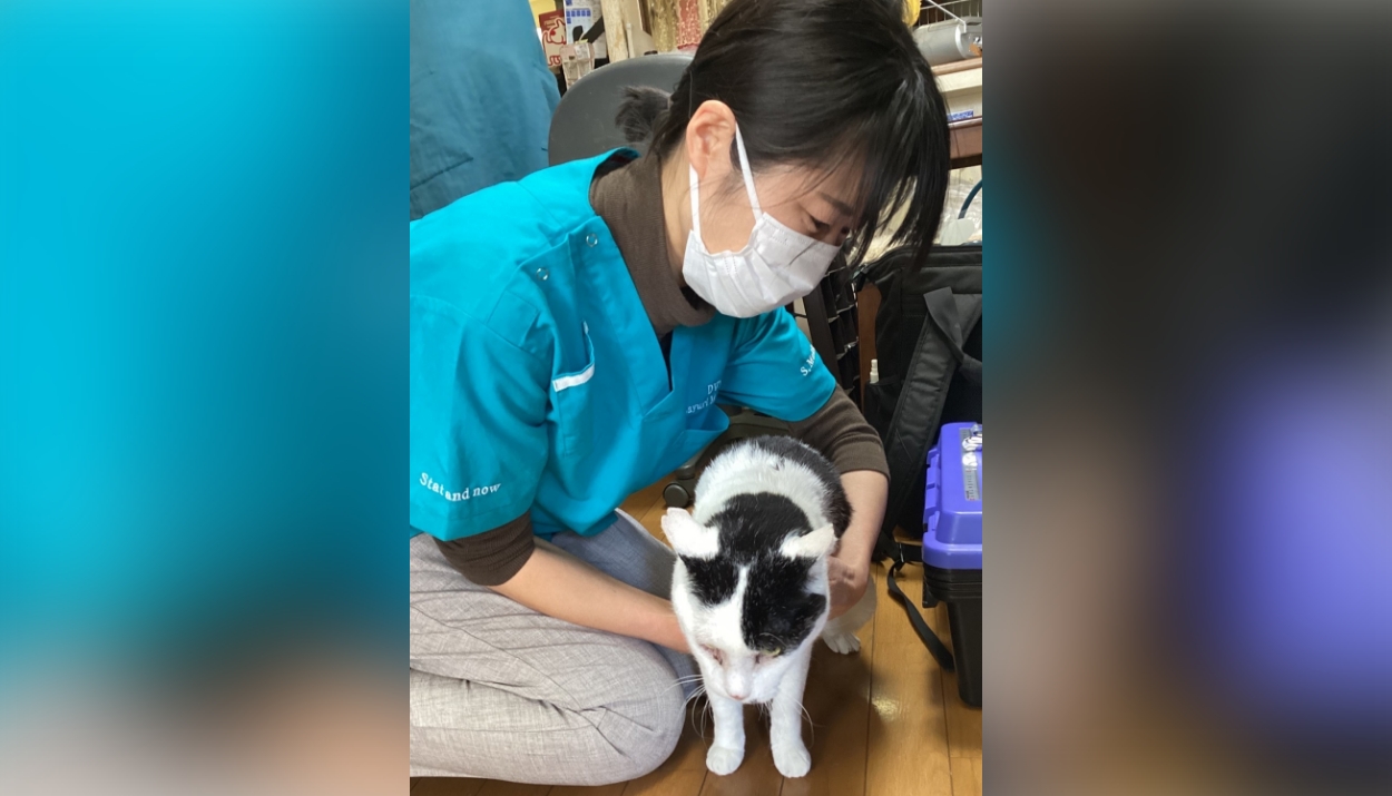 あおば動物クリニック
